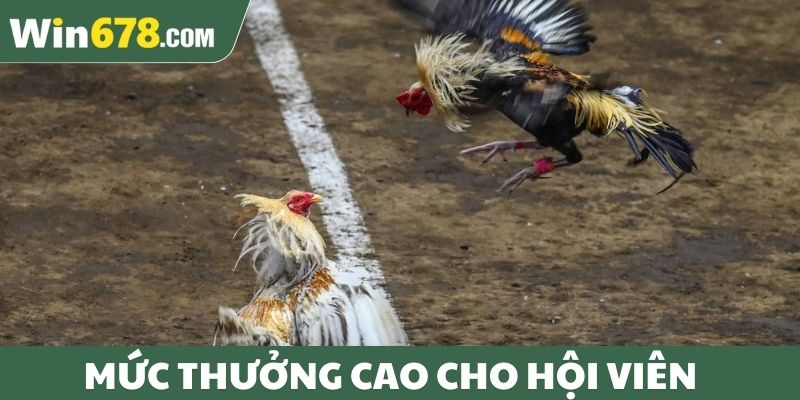 Mức thưởng cao cho hội viên